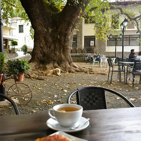 το φαραγγι του παρνασσου Apartamento *