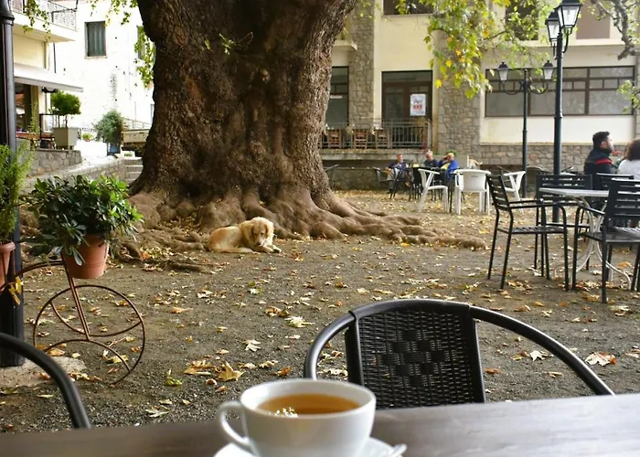 το φαραγγι του παρνασσου Lägenhet *